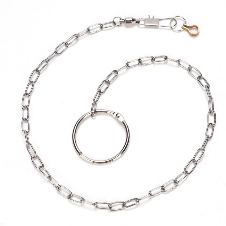 Edelstahl Pet Vögel Papagei Fuß Kette Fußkettchen Trainingsgeschirr  (Psittacula eupatria)