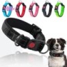 Haustierhalsband, verstellbare Länge, reflektierender Riemen, Schnallenverschluss, Sicherheitsschloss, Metall-D-Ring, reflekt