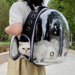 Transparente Katzentragetaschen Space Breathable Haustier-Rucksack Tragbarer Welpen-Haustier-Rucksack Transportträger Space C