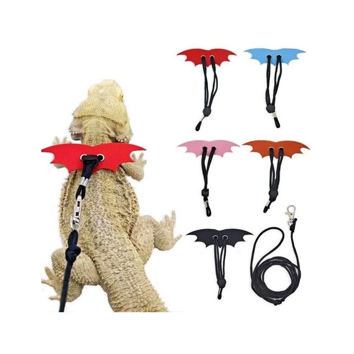 Anti-Flucht-Outdoor-Traktion Bequem zu tragen Schnalle Befestigung Flexible Einstellbare Haustier Leine rot