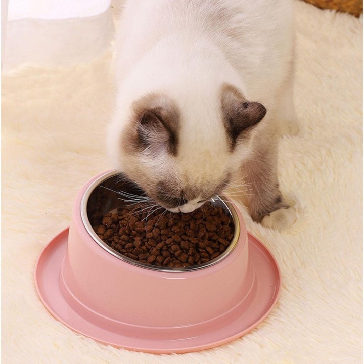 Katzennapf aus Edelstahl, auslaufsicher, rutschfest, geneigt, Katzenfutternäpfe, erhöhte Katzennäpfe gegen Schnurrhaarermüdun