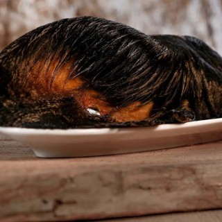 Rinderohren mit Fell, mit Muschel 1 Stück Beutel