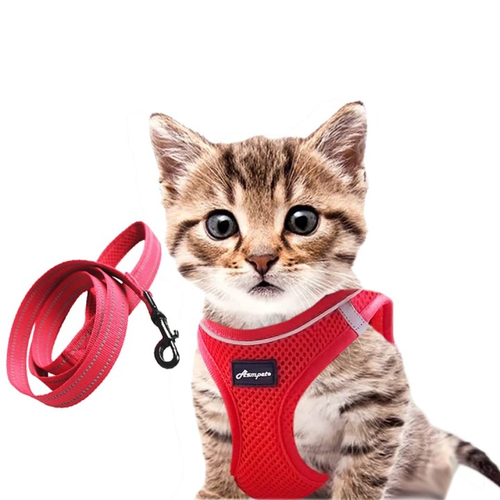 ASMPET Hundegeschirr für kleine mittelgroße Hunde und Katzen, Geschirr aus Netzstoff, leicht, atmungsaktiv, Hundegeschirr, Le