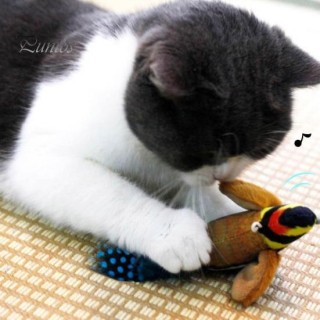 Interaktives Katzenspielzeug, hängender Plüschvogel, quietschender Geräuschsimulation, Vogelspielzeug zum Teaser, spielerisch