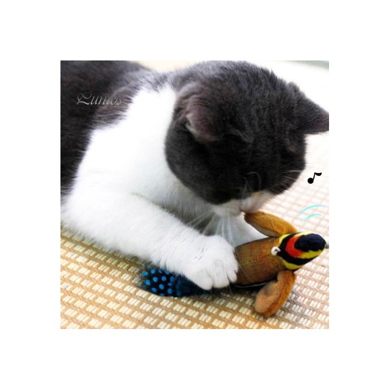 Interaktives Katzenspielzeug, hängender Plüschvogel, quietschender Geräuschsimulation, Vogelspielzeug zum Teaser, spielerisch
