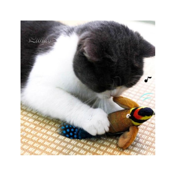 Interaktives Katzenspielzeug, hängender Plüschvogel, quietschender Geräuschsimulation, Vogelspielzeug zum Teaser, spielerisch