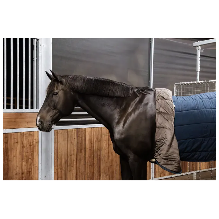 Kentucky Horsewear Nylon Führanlagengurt