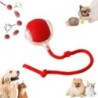 Petsation Interaktiver Katzenball