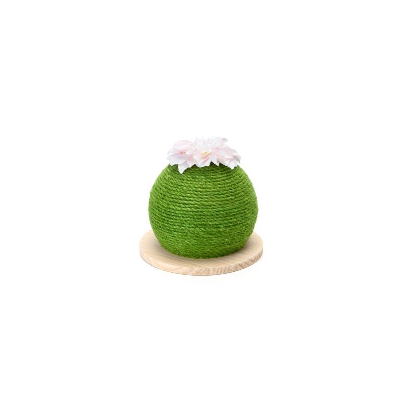 nobleza - Kaktus Kratzball - Kratzbaum