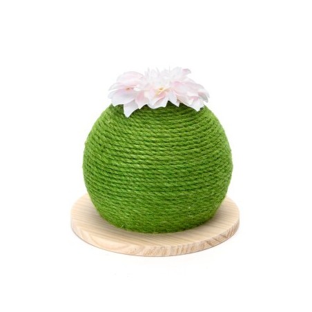 nobleza - Kaktus Kratzball - Kratzbaum