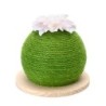 nobleza - Kaktus Kratzball - Kratzbaum
