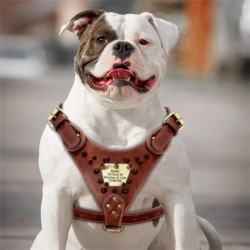 Personalisiertes Hundegeschirr aus Leder, individuelle, langlebige Hundewestengeschirre für mittelgroße und große Hunde, vers