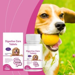 Probiotische Tabletten für Hunde verbessern die Darmgesundheit und fördern die Verdauung und Aufnahme von Nahrungsergänzungsm
