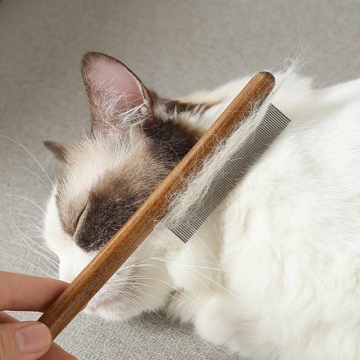 Haustierkamm für Katzen & Hunde: Entfernt lose Haare, entwirrt, entfernt Flöhe, dichte Zähne, ideal für langhaarige Haustiere