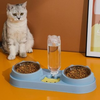 Geneigt, um den Hals Ihres Haustieres zu schützen und automatischer Wasserspender leicht abnehmbar für grün