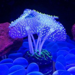 Aquarium leuchtende künstliche Quallen aus Silikon, simulierte Wasserpflanzen, fluoreszierende Hunde, Katzen, Heimtierbedarf