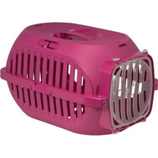 FIT+FUN Transport Box