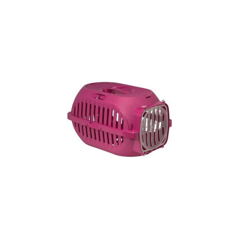 FIT+FUN Transport Box