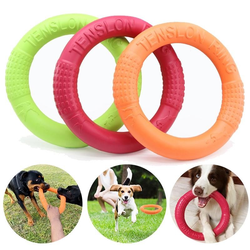 Schwimmendes Wasserspielzeug für Hunde, für kleine und mittelgroße Hunde, interaktives Spielzeug mit Trainingsring, resistent