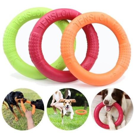 Schwimmendes Wasserspielzeug für Hunde, für kleine und mittelgroße Hunde, interaktives Spielzeug mit Trainingsring, resistent