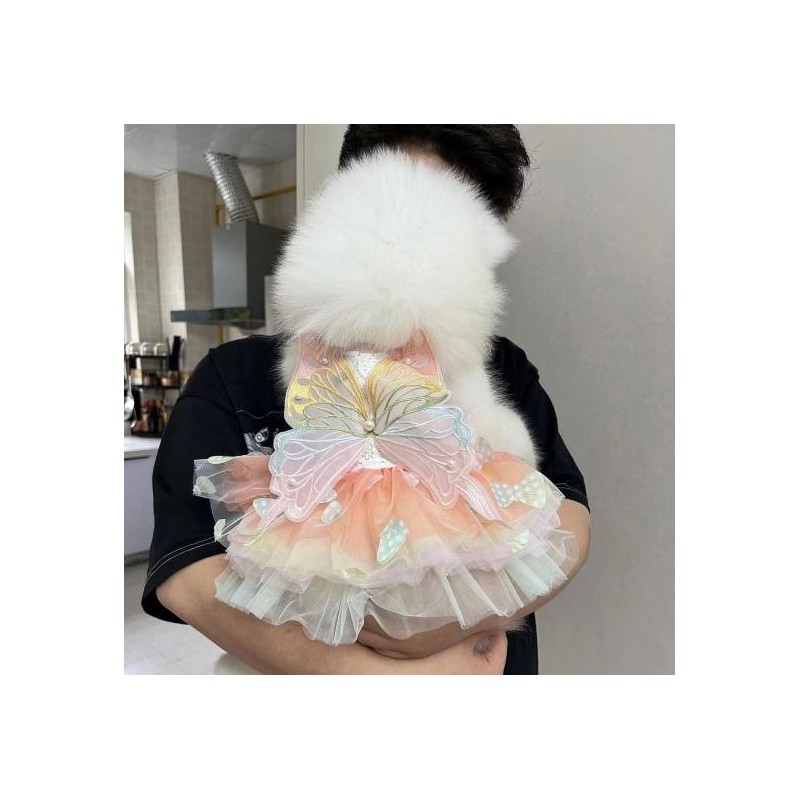 Hundekleid mit Schmetterlingen im Prinzessinnenstil, bunte Flügel, flauschiges Tutu-Kleid, leuchtende Farbe, Spitzenstoff, Ha