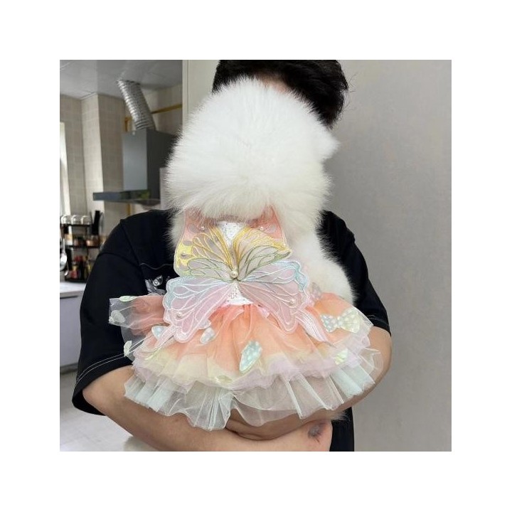 Hundekleid mit Schmetterlingen im Prinzessinnenstil, bunte Flügel, flauschiges Tutu-Kleid, leuchtende Farbe, Spitzenstoff, Ha