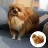 Realistische Pommersche Simulation Spielzeug Hund Welpen Lebensechte Begleiter Spielzeug Handgefertigte Drop Hund Haustier Sp