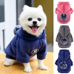Fein verarbeiteter Haustier-Pullover, hübsche, weiche Textur, winddichtes Hunde-Kapuzen-Outfit M grau