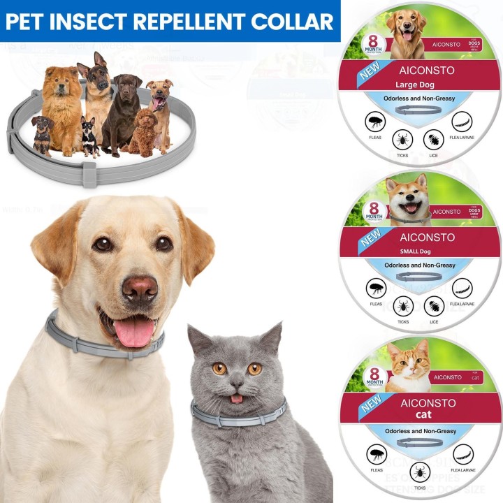 8 Monate, Anti-Parasiten-Halsband, Anti-Floh, Anti-Zecken, Leishmaniose, für kleine und mittelgroße Hunde One Size