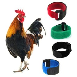 2 STK. Kein Krähen, Hahnenhalsband, Hühnerhalsband, geräuschlos, Anti-Haken-Halsband, Halsband, um das Krähen der Hühner zu v