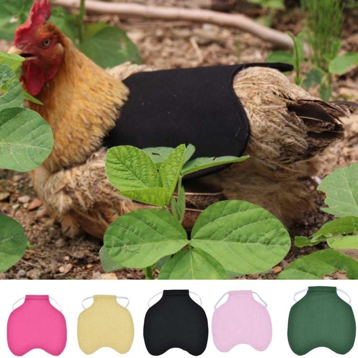 Hühnerschürze mit einem Riemen, Sattel, Standard-Hühnerjacken, Hühnerschürzen schwarz