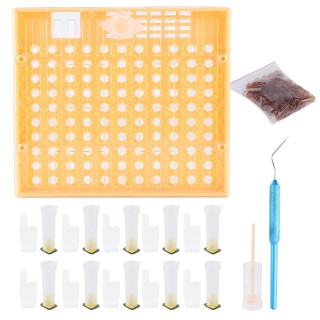 Kunststoff-Bienenzellenbecher-Kit, Königin-Aufzuchtsystem, Kultivierungsbox, Königinkäfig, Bienenzucht-Werkzeuge