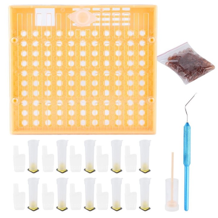 Kunststoff-Bienenzellenbecher-Kit, Königin-Aufzuchtsystem, Kultivierungsbox, Königinkäfig, Bienenzucht-Werkzeuge