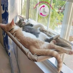 Hängendes Katzenbett Große Katzenhängematten Bett Haustier Katzenhängematte Luftkatzenbett Kätzchen Klettergerüst Tragkraft 2