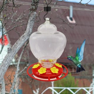 Outdoor Hängen Kolibri Feeder Abnehmbare Leck Beweis Vogel Feeder Lebensmittel Container Für Garten Hof hummingbird feeder tr