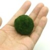 3-4 cm Marimo Moosbälle Lebende Aquariumpflanze Algen Fisch Garnelen Tank Ornament Simulation Grünalgenbälle Künstliche Pflan