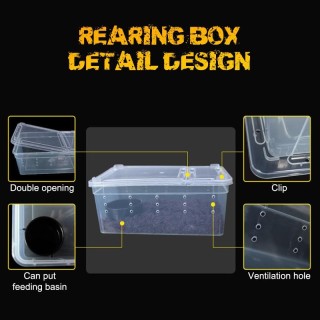 Reptilien Spinne Transparent Kunststoff Fütterung Box Insekten Lebensmittel Fütterung Container weiß