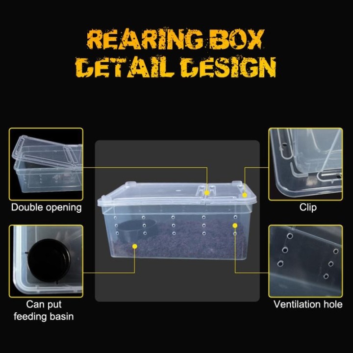 Reptilien Spinne Transparent Kunststoff Fütterung Box Insekten Lebensmittel Fütterung Container weiß