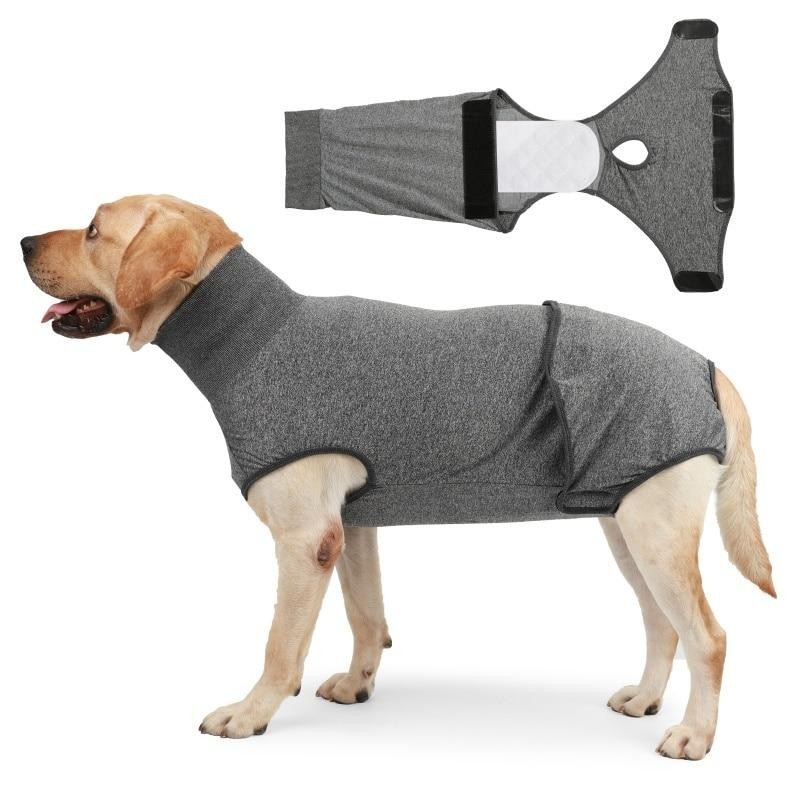 Physiologische Kleidung für Hunde, Hundewindeln, Tante-Kleidung, Haustier-Hundekleidung, Windelgurt-Slips, Damenhygienehösche