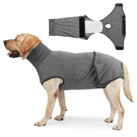 Physiologische Kleidung für Hunde, Hundewindeln, Tante-Kleidung, Haustier-Hundekleidung, Windelgurt-Slips, Damenhygienehösche