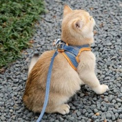 Katzengeschirr-Leine-Set aus Wildleder, verstellbar, bequem, kein Ziehen, für Welpen, Weste, Geschirre, für Spaziergänge, Bru