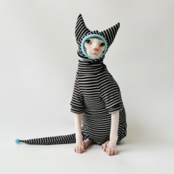 Vierbeiniges gestreiftes Hemd, Hut, Schwanzabdeckung, Anzug für Sphynx-Katze, Frühling, schwarzes Sweatshirt für Kätzchen, ha