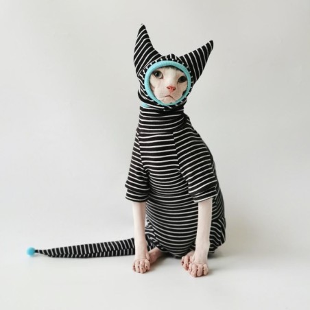 Vierbeiniges gestreiftes Hemd, Hut, Schwanzabdeckung, Anzug für Sphynx-Katze, Frühling, schwarzes Sweatshirt für Kätzchen, ha