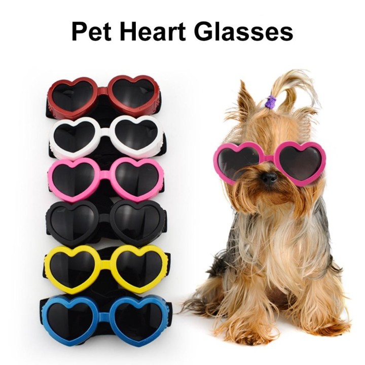 Haustier-Sonnenbrille für kleine mittelgroße Hunde und Katzen, UV-Schutz, Hundebrille mit verstellbarem Riemen, Haustierfotos