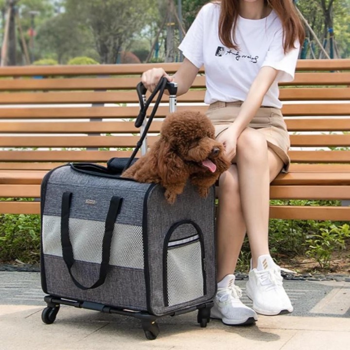Multifunktionale Haustier-Trolleytasche für unterwegs, abnehmbarer Trolley, tragbar, faltbar, für unterwegs, Haustier-Rucksac