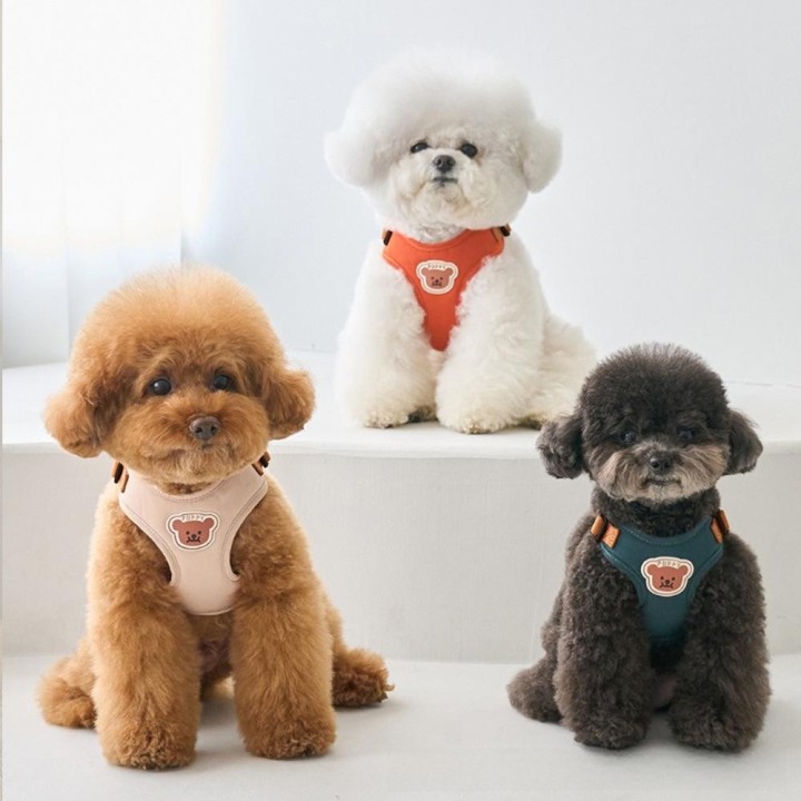 Verstellbares Hundegeschirr- und Leinen-Set für kleine bis mittelgroße Hunde – perfekt für Teddys Small