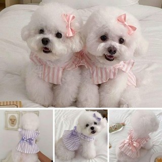 Süße Hundekleidung, gestreifte Schleifen, Katzen-Welpenkleidung, Sommer-Haustierkleider XXL violett