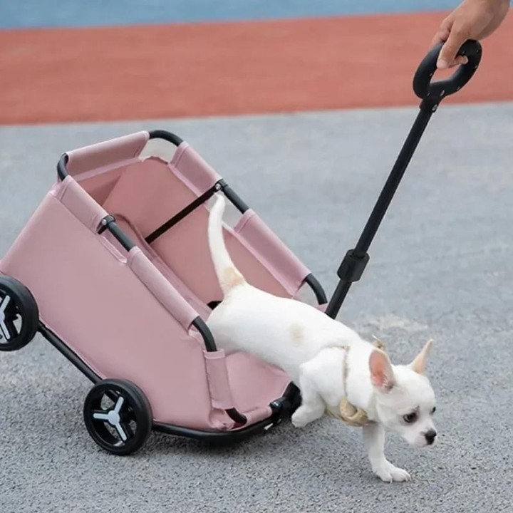 Hundebuggy mit 4 Rädern, zusammenklappbar, leicht, 360° drehbar, Trolley, Haustierbuggy, kleine Katzen, Hunde, rollende Katze