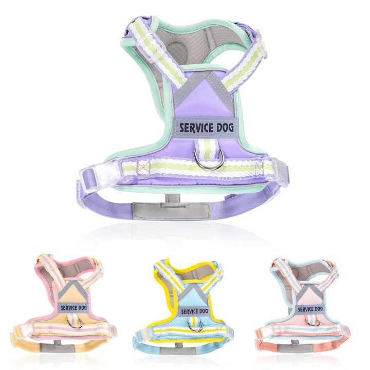 Neues reflektierendes Hundegeschirr, Hundegeschirr mit anpassbarem Namen und ID, niedliche Hundeleine, explosionsgeschütztes