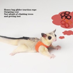 4 Stück Brustgurt für kleine Haustiere, Hamster, Eichhörnchen, Anti-Biss-Traktionsseil, Zuckergleiter, winddicht, spezielles